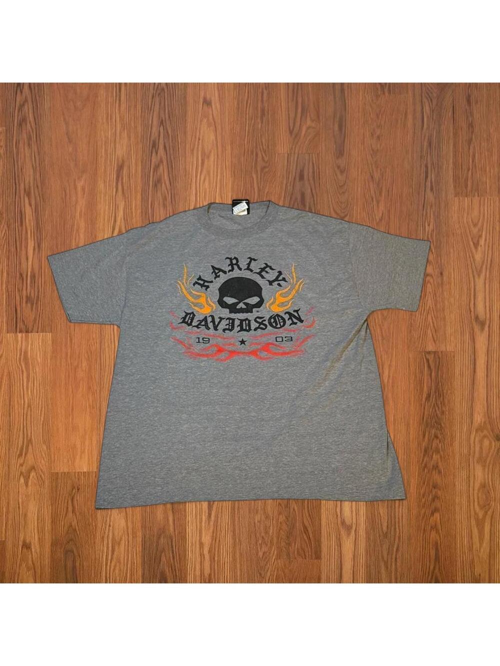 Harley Davidson Willie G Skull Flames Graphic T-Shirt Men's Large Gray Tee